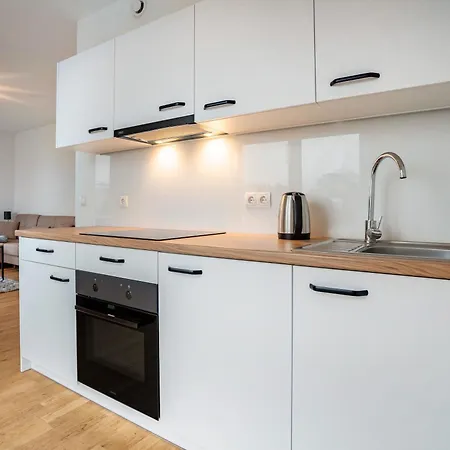 Wundervolles Loft Mit Terrasse Apartman Greifswald